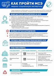 Медико-санитарная экспертиза